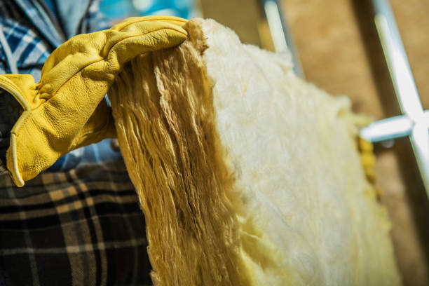 Best Insulation Installation Services in Cochran, GA
